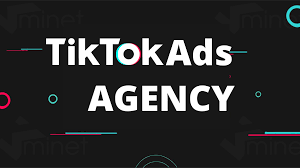 Tài khoản agency TikTok là gì? Có hiệu quả hơn tài khoản cá nhân?