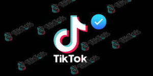 What is TikTok's Blue Checkmark? Tips for Successfully Getting Verified on TikTok